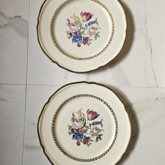 Castleton China Bellwood 12 Dinner Plates, Vintage - Picture 2 of 6